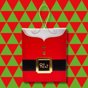 Tisane bio Pain d'épices Orange Gingerbread - 5 Sachets