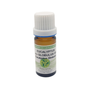 Huile essentielle Eucalyptus globulus BIO - 10ml