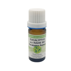 Huile essentielle Eucalyptus radié BIO - 10ml