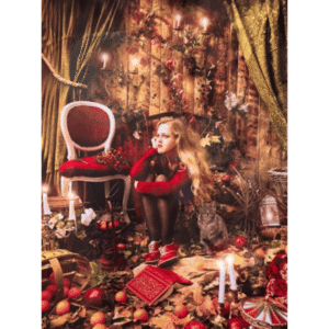 Carte Postale - Cabane de Noël