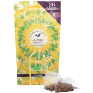 Thé vert glacé bio Mangue Passion - Sachets