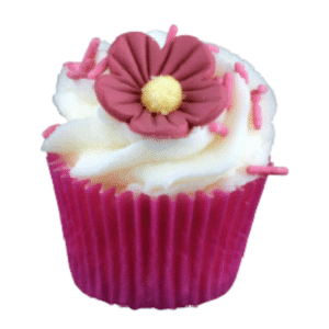 Mini Cupcake bain /douche - Fraisy