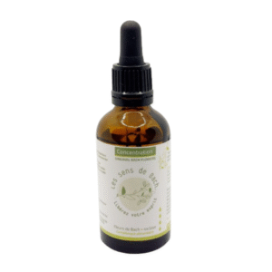 Synergie Fleurs de Bach Concentration - 30ml