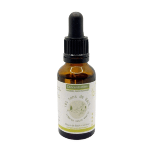 Synergie Fleurs de Bach Concentration - 50ml