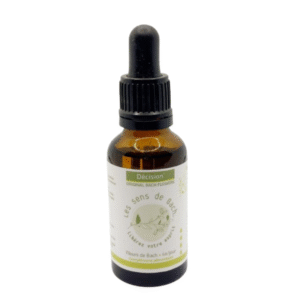Synergie Fleurs de Bach Décision - 30ml