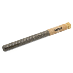 Basilic