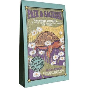 Savon Arche de Noé - Tortue