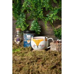 Coffret Cacao Bio & Mug - Noisettes